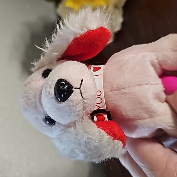 Ty Beanie Baby Sonnet, February 19, 2003 - Picture 5 of 8